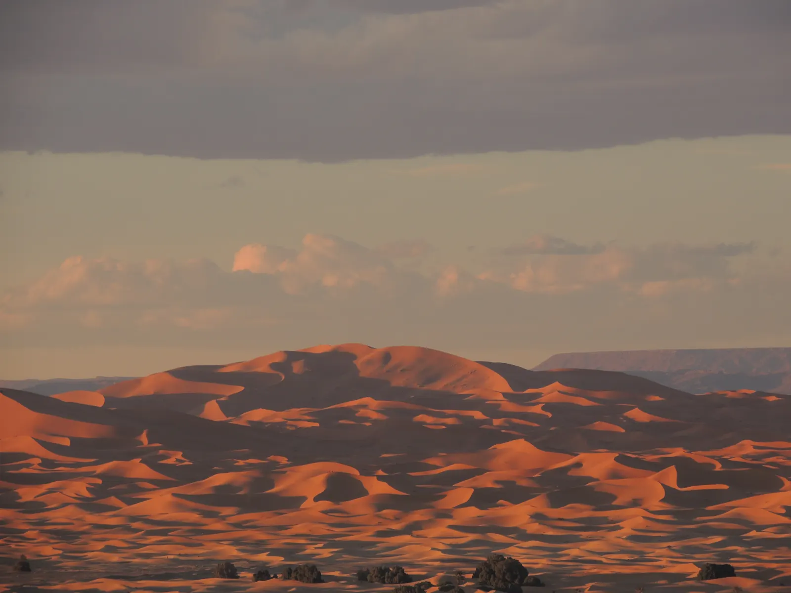 Erg Chebbi: las dunas más altas del Sáhara marroquí