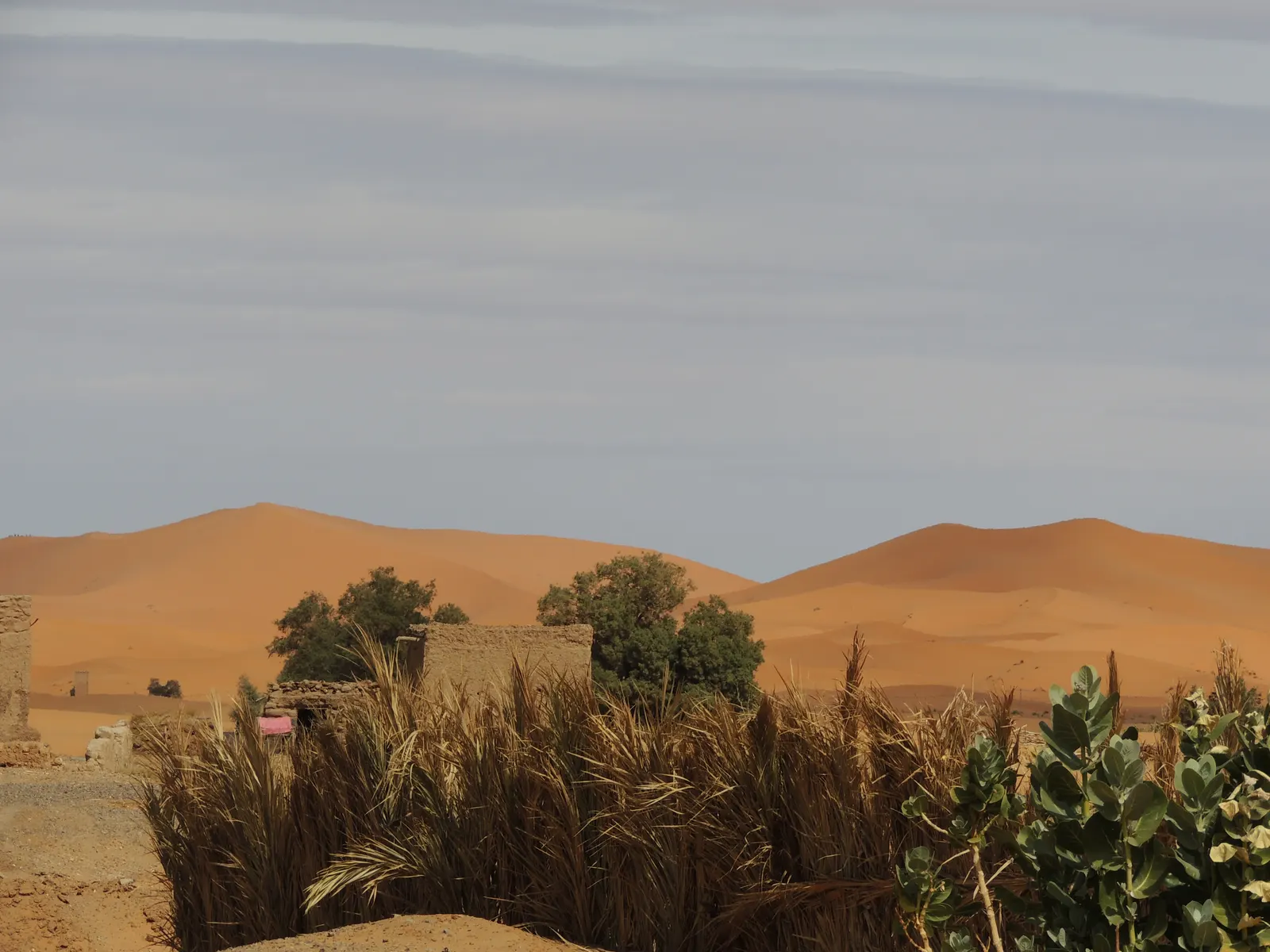 Guía práctica para viajar a Marruecos y al desierto de Erg Chebbi
