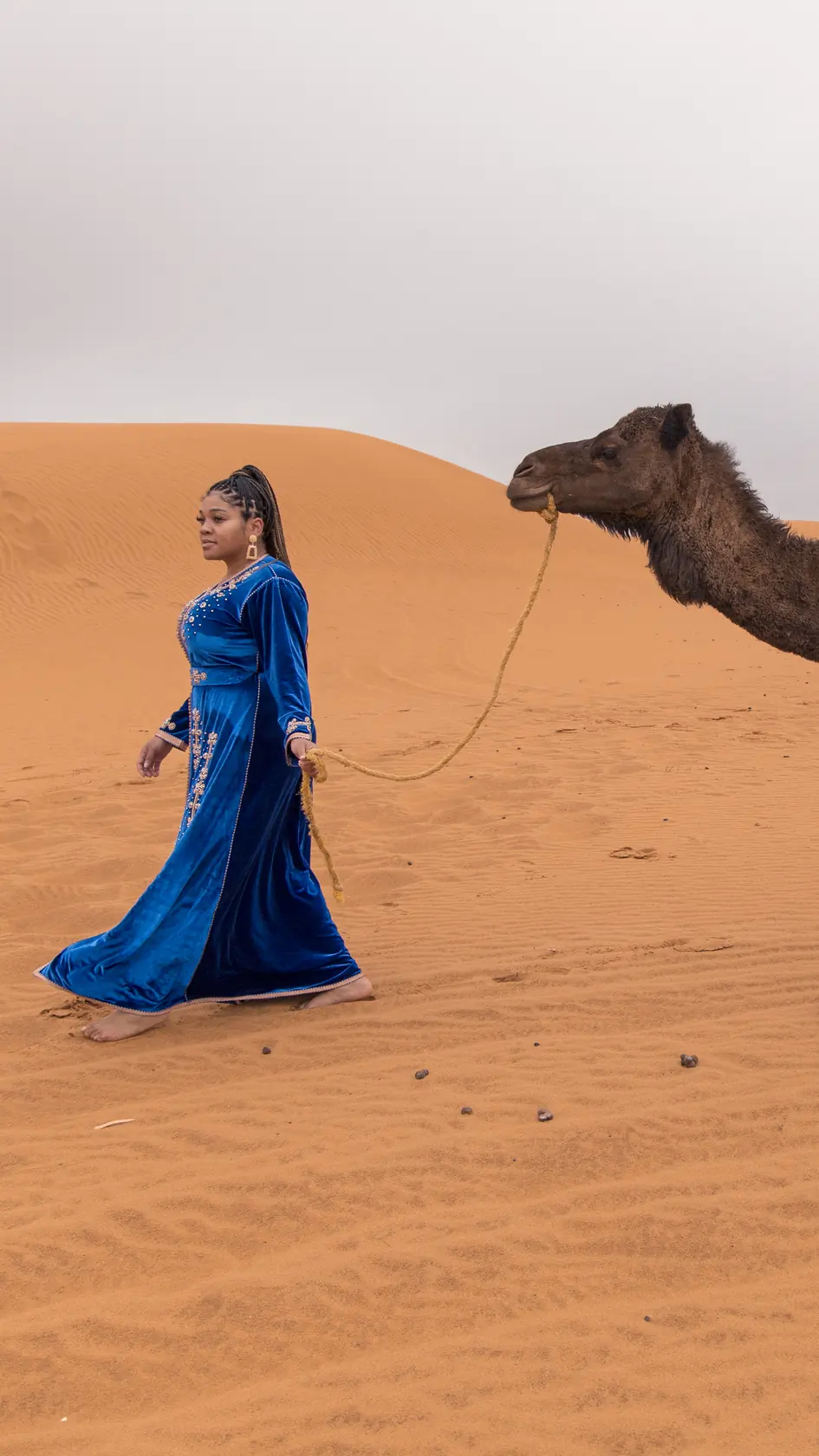 Guía del desierto con camello al atardecer